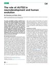 The Role of AUTS2 in Neurodevelopment and Human Evolution