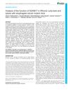 Analysis Of The Function Of ADAM17 In IRhom2 Curly-Bare And Tylosis With Esophageal Cancer Mutant Mice