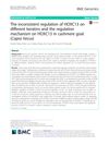 The Inconsistent Regulation of HOXC13 on Different Keratins and the Regulation Mechanism on HOXC13 in Cashmere Goat (Capra Hircus)