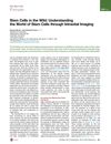 Stem Cells in the Wild: Understanding Stem Cells Through Intravital Imaging