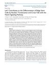 Lef1 Contributes to the Differentiation of Bulge Stem Cells by Nuclear Translocation and Cross-Talk with the Notch Signaling Pathway