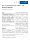 Role of Bulge Epidermal Stem Cells and TSLP Signaling in Psoriasis