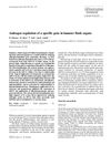 Androgen Regulation of a Specific Gene in Hamster Flank Organs