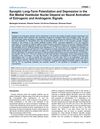 Synaptic Long-Term Potentiation and Depression in the Rat Medial Vestibular Nuclei Depend on Neural Activation of Estrogenic and Androgenic Signals