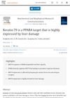 Keratin 79 Is a PPARA Target That Is Highly Expressed by Liver Damage