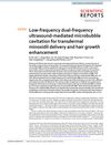 Low-Frequency Dual-Frequency Ultrasound-Mediated Microbubble Cavitation for Transdermal Minoxidil Delivery and Hair Growth Enhancement