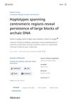 Haplotypes Spanning Centromeric Regions Reveal Persistence of Large Blocks of Archaic DNA