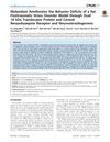 Midazolam Ameliorates the Behavioral Deficits of a Rat Posttraumatic Stress Disorder Model Through Dual 18 kDa Translocator Protein and Central Benzodiazepine Receptor and Neurosteroidogenesis