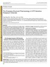 The Emerging Structural Pharmacology of ATP-Sensitive Potassium Channels