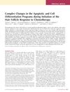 Complex Changes in the Apoptotic and Cell Differentiation Programs During Initiation of the Hair Follicle Response to Chemotherapy