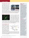 Clinical Snippets: Hair Growth, Androgenetic Alopecia, Psoriasis, Hidradenitis Suppurativa, and Alopecia Areata