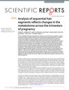 Analysis of Sequential Hair Segments Reflects Changes in the Metabolome Across the Trimesters of Pregnancy