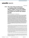 The Role of Dexamethasone in Mediating the Contradictory Effects of Wnt Antagonists SFRP2 and SFRP3 on Human Hair Follicle Growth