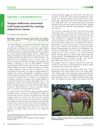 Telogen Defluxion Associated with Hypersensitivity Causing Alopecia in a Horse