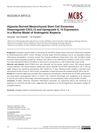 Hypoxia-Derived Mesenchymal Stem Cell Exosomes Downregulate CXCL12 and Upregulate IL-10 Expression in a Murine Model of Androgenic Alopecia