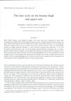 The Hair Cycle on the Human Thigh and Upper Arm