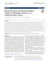 Phytochemistry and Pharmacological Studies of Plumbago Zeylanica L.: A Medicinal Plant Review