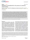 Regulation of Semaphorin 3A in the Process of Cutaneous Wound Healing