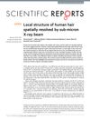 Local Structure of Human Hair Spatially Resolved by Sub-Micron X-Ray Beam