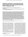 Cachexia and Graft-Versus-Host Disease-Type Skin Changes in Keratin Promoter-Driven TNF Alpha Transgenic Mice