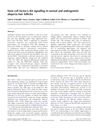 Stem Cell Factor/c-Kit Signaling in Normal and Androgenetic Alopecia Hair Follicles