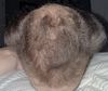 27M 0.5mg DUT/2.5mg MIN 1 &amp; &frac12; months - Should I just give up?