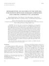 Bendamustine: An Old Drug in the New Era for Patients with Non-Hodgkin Lymphomas and Chronic Lymphocytic Leukemia