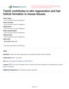 Twist2 Contributes to Skin Regeneration and Hair Follicle Formation in Mouse Fetuses