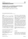 Evaluation of Dry Eye and Meibomian Gland Dysfunction in Female Androgenetic Alopecia Patients