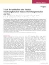 T-Cell Reconstitution After Thymus Xenotransplantation Induces Hair Depigmentation and Loss