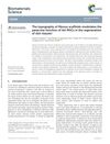 The Topography of Fibrous Scaffolds Modulates the Paracrine Function of Adipose-Derived Mesenchymal Stem Cells in the Regeneration of Skin Tissues