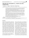 Minoxidil Opens Mitochondrial KATP Channels and Confers Cardioprotection