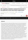 Wnt Signaling Modulates Mechanotransduction in the Epidermis to Drive Hair Follicle Regeneration