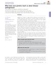 What Does Acne Genetics Teach Us About Disease Pathogenesis?