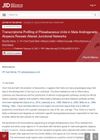 Transcriptome Profiling of Pilosebaceous Units in Male Androgenetic Alopecia Reveals Altered Junctional Networks