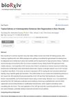 Topical Delivery of 4-Aminopyridine Enhances Skin Regeneration in Burn Wounds