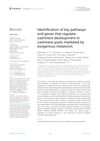 Identification of Key Pathways and Genes That Regulate Cashmere Development in Cashmere Goats Mediated by Exogenous Melatonin