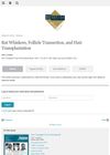 Rat Whiskers, Follicle Transection, and Hair Transplantation