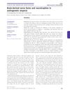 Brain-Derived Nerve Factor and Neurotrophins in Androgenetic Alopecia