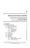 Structure and Function of the Skin