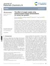 The Effect of Oxygen Supply Using Perfluorocarbon-Based Nanoemulsions on Human Hair Growth