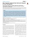 Meis1 Regulates Epidermal Stem Cells and Is Required for Skin Tumorigenesis