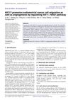 KRT17 Promotes Endometrial Cancer Cell Migration and Angiogenesis by Regulating HIF-1α/VEGF Pathway
