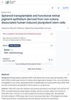 Spheroid Transplantable and Functional Retinal Pigment Epithelium Derived from Non-Colony Dissociated Human Induced Pluripotent Stem Cells
