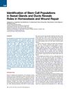 Identification of Stem Cell Populations in Sweat Glands and Ducts Reveals Roles in Homeostasis and Wound Repair