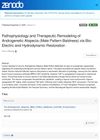 Pathophysiology and Therapeutic Remodeling of Androgenetic Alopecia via Bio-Electric and Hydrodynamic Restoration