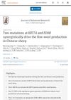 Two Mutations at KRT74 and EDAR Synergistically Drive the Fine-Wool Production in Chinese Sheep