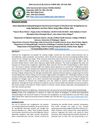 Dose-Dependent Histopathological and Structural Impact of Chemical Hair Straighteners on Scalp Epithelium and Hair Fibers Using Albino Wistar Rats