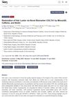 Restoration of Hair Luster via Novel Biomarker COL7A1 by Minoxidil, Caffeine, and Biotin