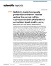 Nobiletin-Loaded Composite Penetration Enhancer Vesicles Restore Normal miRNA Expression and Chief Defense Antioxidant Levels in Skin Cancer